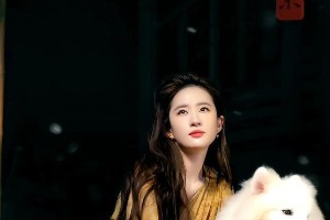 精选图片集锦：视觉盛宴一览